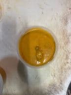 Best Jewel Chicken in Albany, NY