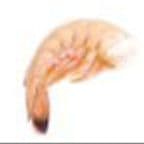 Best Shrimp (Head Off) in Philadelphia, PA