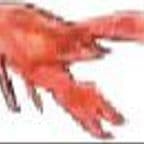 Best Crawfish in Philadelphia, PA