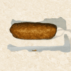 Best Egg Roll 春卷 in Ashtabula, OH