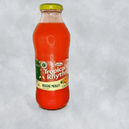 Best Reggae Medley-Tropical Rhythm in Chattanooga, TN