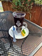 Best Blue Butterfly Pea Flower Tea in Melbourne, FL