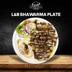 Best Lamb&beef shawarma plate in Mountlake Terrace, WA