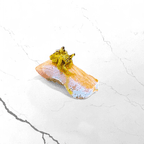 Best Yellowtail Shishito Peppers in New York, NY